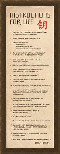 Framed Framed Instructions for Life - According to the Dalai Lama