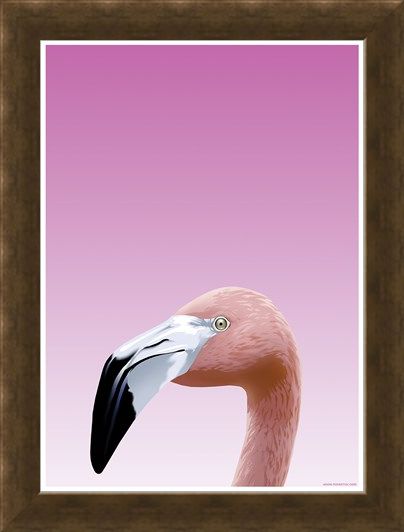 Framed Framed Flamboyant Flamingo - Inquisitive Creatures