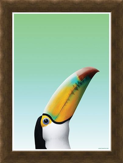 Framed Framed Toucan - Inquisitive Creatures