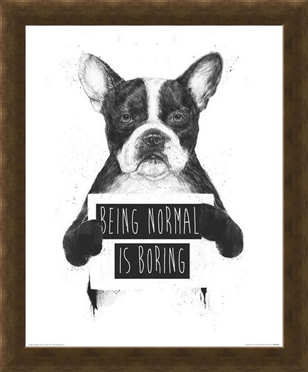 Framed Framed Being Normal Is Boring - Balazs Solti