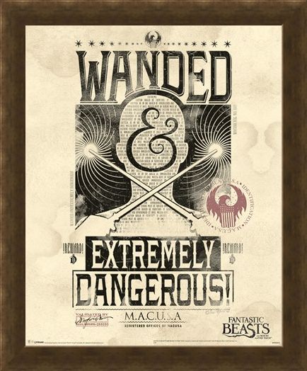 Framed Framed Extremely Dangerous - Fantastic Beasts