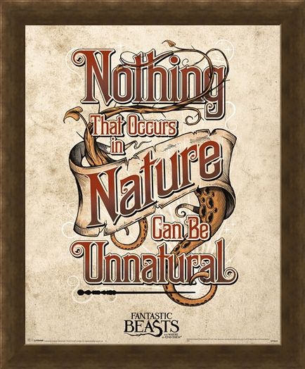 Framed Framed Nothing That Occurs In Nature... - Fantastic Beasts & Where To Find Them