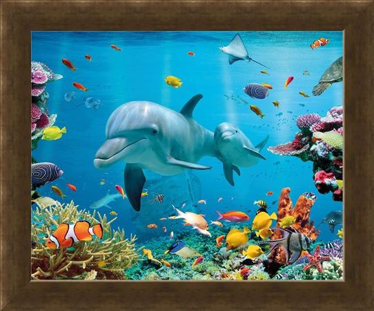 Framed Framed Tropical Ocean - Sea Creatures