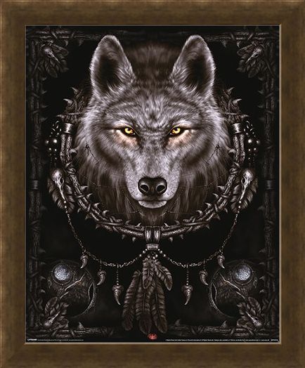 Framed Framed Wolf Dreams - Spiral