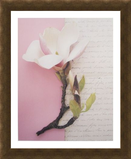 Framed Framed Emma's Garden Magnolia - Deborah Schenck