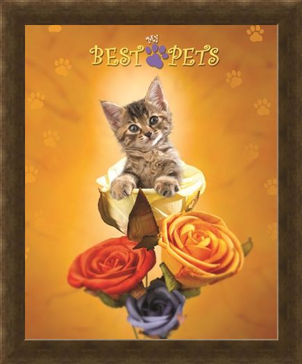 Framed Framed Cat amongst the Roses - My Best Pets