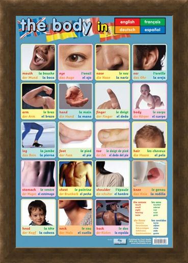Framed Framed Body Parts - Language Guide