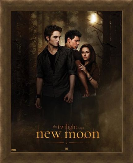 Framed Framed Bella with Edward and Jacob - Who will she choose in the Twilight Saga?