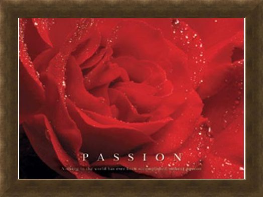 Framed Framed Rose Bloom - Passion, Inspirational