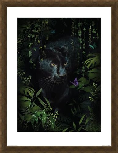 Framed Framed Panther - Summer Thornton