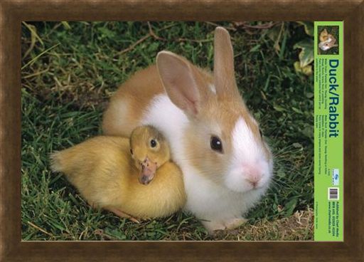 Framed Framed Best Friends - Duck And Rabbit