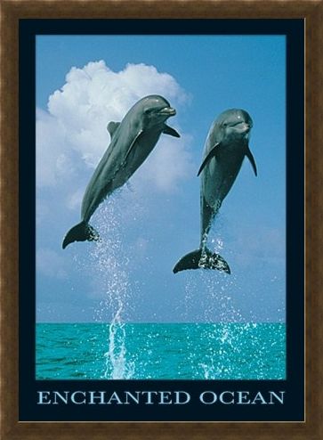 Framed Framed Dolphins Jumping - Enchanted Ocean