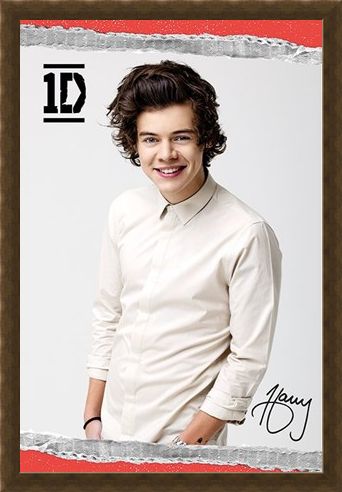 Framed Framed Harry - One Direction