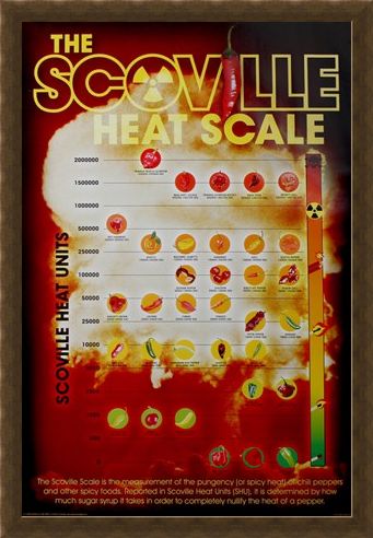 Framed Framed How Hot Can You Handle It? - The Scoville Heat Scale