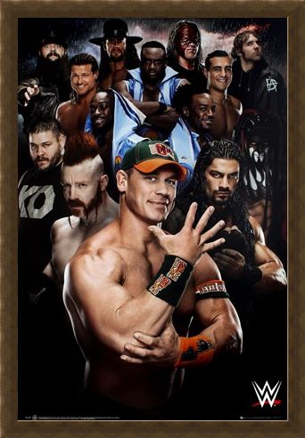 Framed Framed Superstars 2016 - WWE