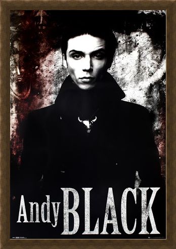 Framed Framed Andy Black - Black Veil Brides