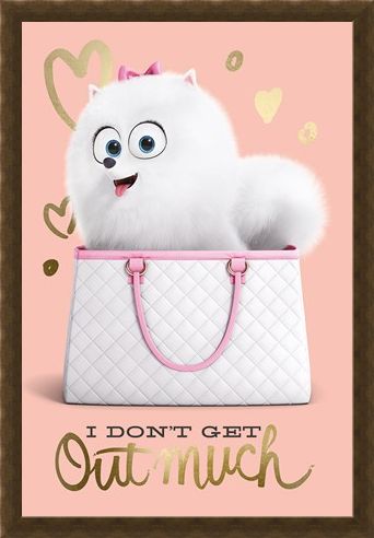 Framed Framed I Don't Get Out Much - The Secret Life Of Pets