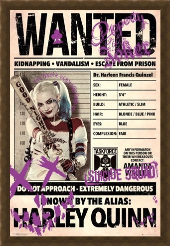Framed Framed Harley Wanted - Suicide Squad