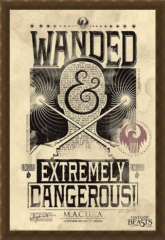 Framed Framed Extremely Dangerous - Fantastic Beasts