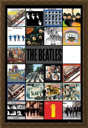 Framed Framed Albums - The Beatles