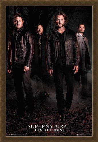 Framed Framed Season 12 - Supernatural