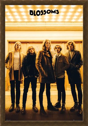 Framed Framed Band Line-up - The Blossoms