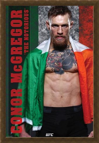 Framed Framed The Irish Champion - Conor McGregor