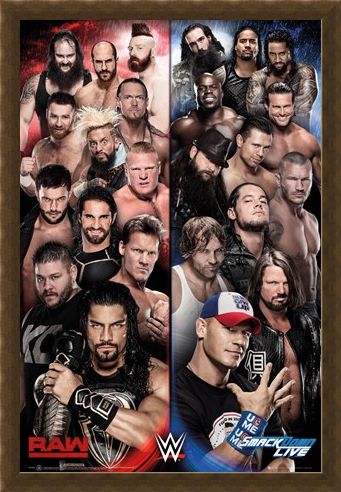 Framed Framed Raw vs Smackdown - WWE