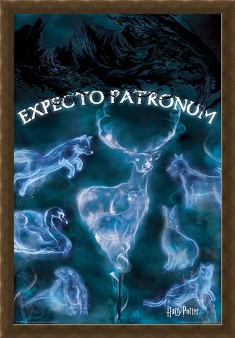 Framed Framed Expecto Patronum - Harry Potter