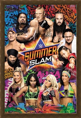 Framed Framed Summerslam - WWE