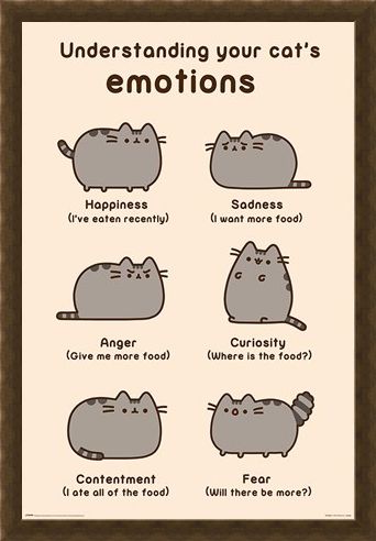 Framed Framed Cats Emotions - Pusheen