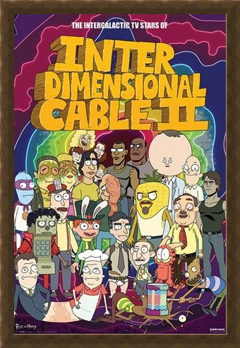 Framed Framed Stars of Interdimensional Cable - Rick and Morty
