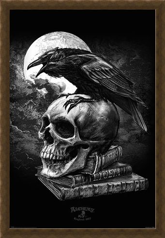 Framed Framed Poe's Raven - Alchemy