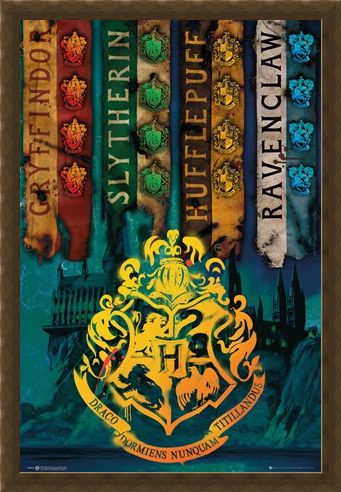 Framed Framed House Flags - Harry Potter