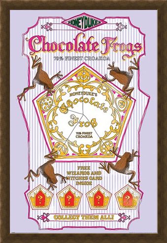 Framed Framed Honeydukes Chocolate Frogs - Harry Potter