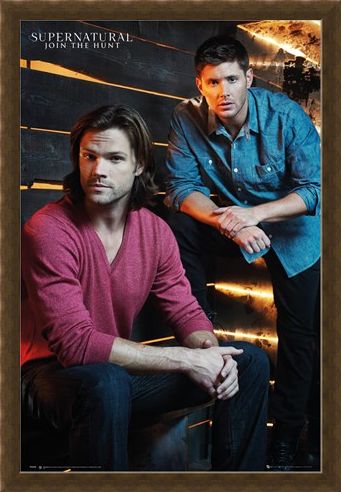 Framed Framed The Winchester Brothers - Supernatural