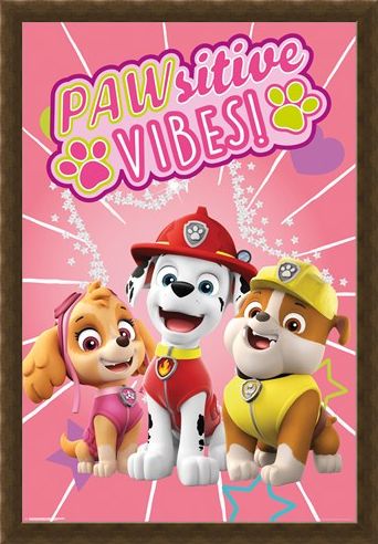 Framed Framed Pawsitive Vibes - Paw Patrol