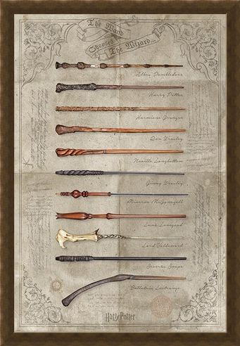 Framed Framed The Wand Chooses The Wizard - Harry Potter