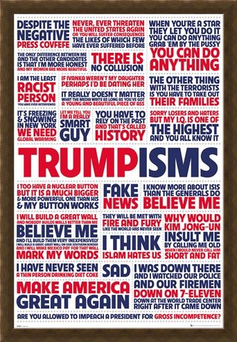 Framed Framed Trumpisms - President Trump
