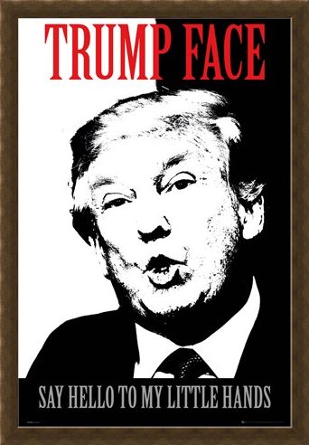 Framed Framed Say Hello To My Little Hands - Trump Face