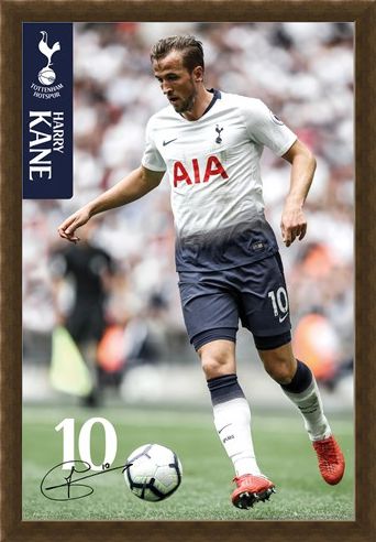 Framed Framed Kane 18-19 - Tottenham Hotspur