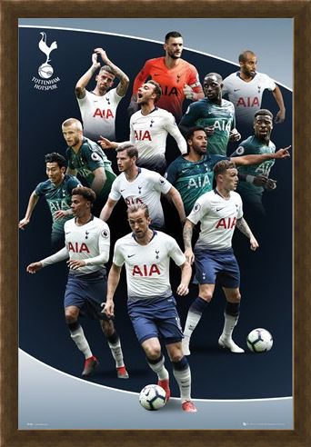 Framed Framed Players 18-19 - Tottenham Hotspur