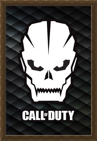Framed Framed Skull - Call Of Duty