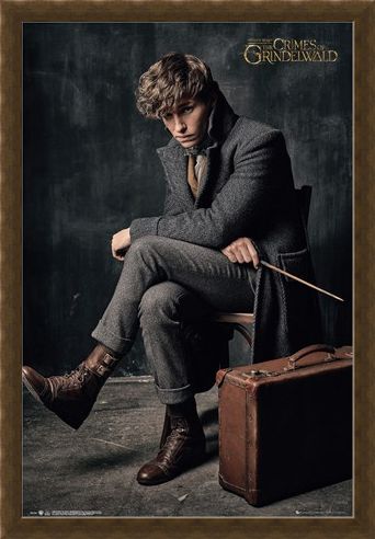 Framed Framed Newt Scamander - Fantastic Beasts 2