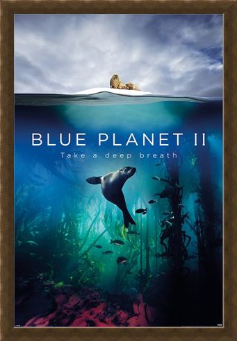 Framed Framed Take A Deep Breath - Blue Planet 2