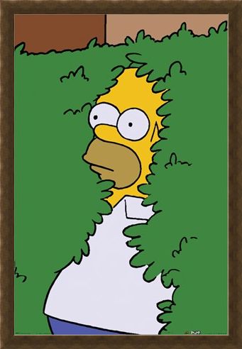 Framed Framed Homer Bush - The Simpsons