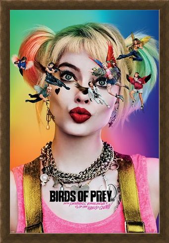 Framed Framed Seeing Stars - Birds Of Prey