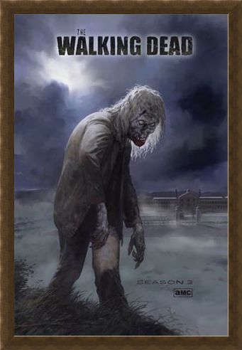 Framed Framed Flesh Eating Walker! - The Walking Dead