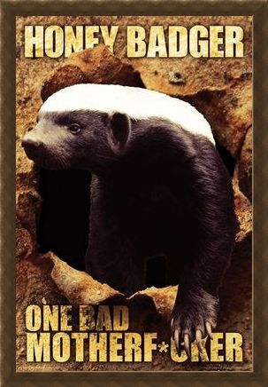 Framed Framed One Bad Mother F*cker - Honey Badger