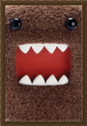Framed Framed Extreme Close Up - Domo